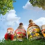 Alojamento de Acomodação e Pequeno-almoço Renee Cense Houffalize