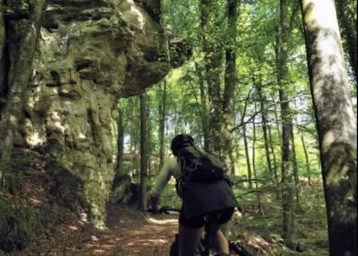 Renee Cense Bed & Breakfast Houffalize